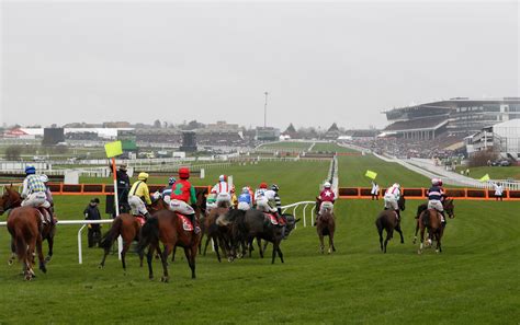 cheltenham runners tomorrow.